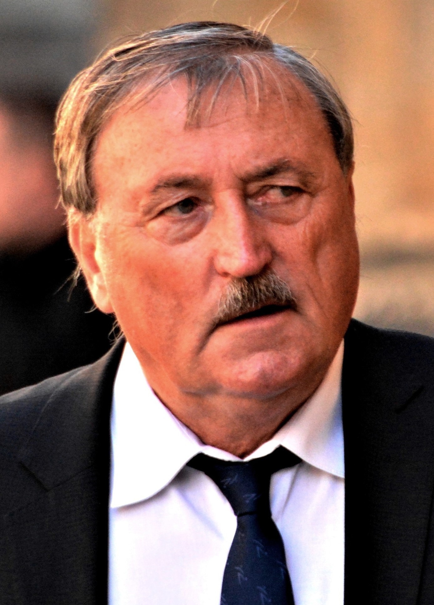 Antonín Panenka, Czech footballer.